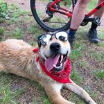 Bike! Run! More Hiking!