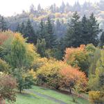 Hoyt Arboretum
