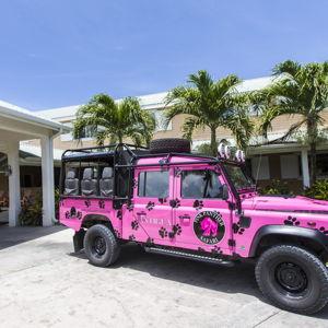 Honeymoon Pink Jeep Tour