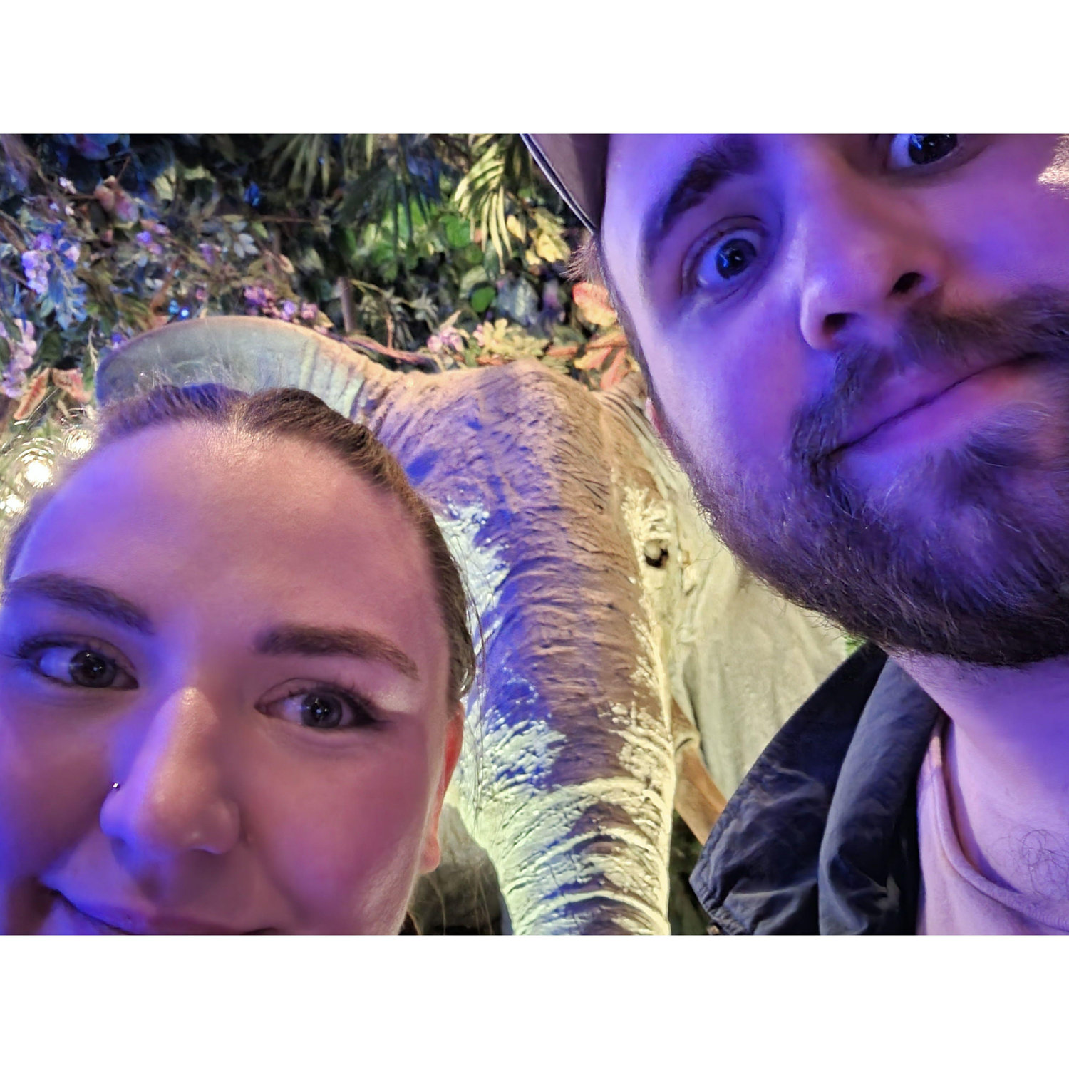 RAINFOREST CAFE!!!!!!!!!!!!