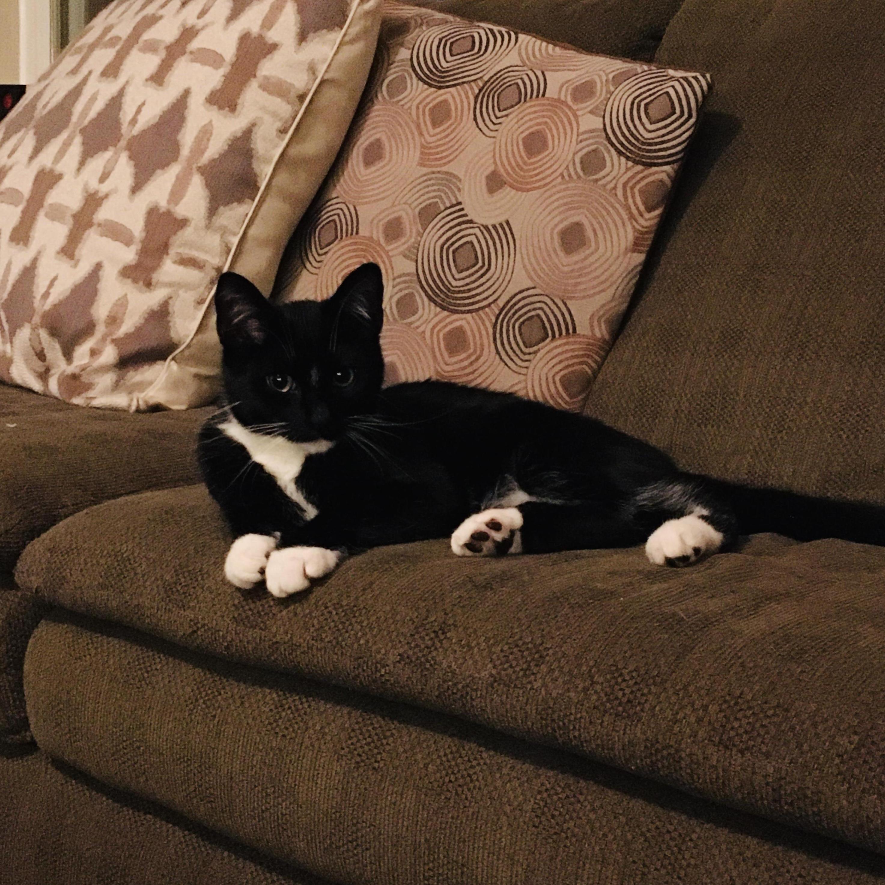 Our little baby Perseus