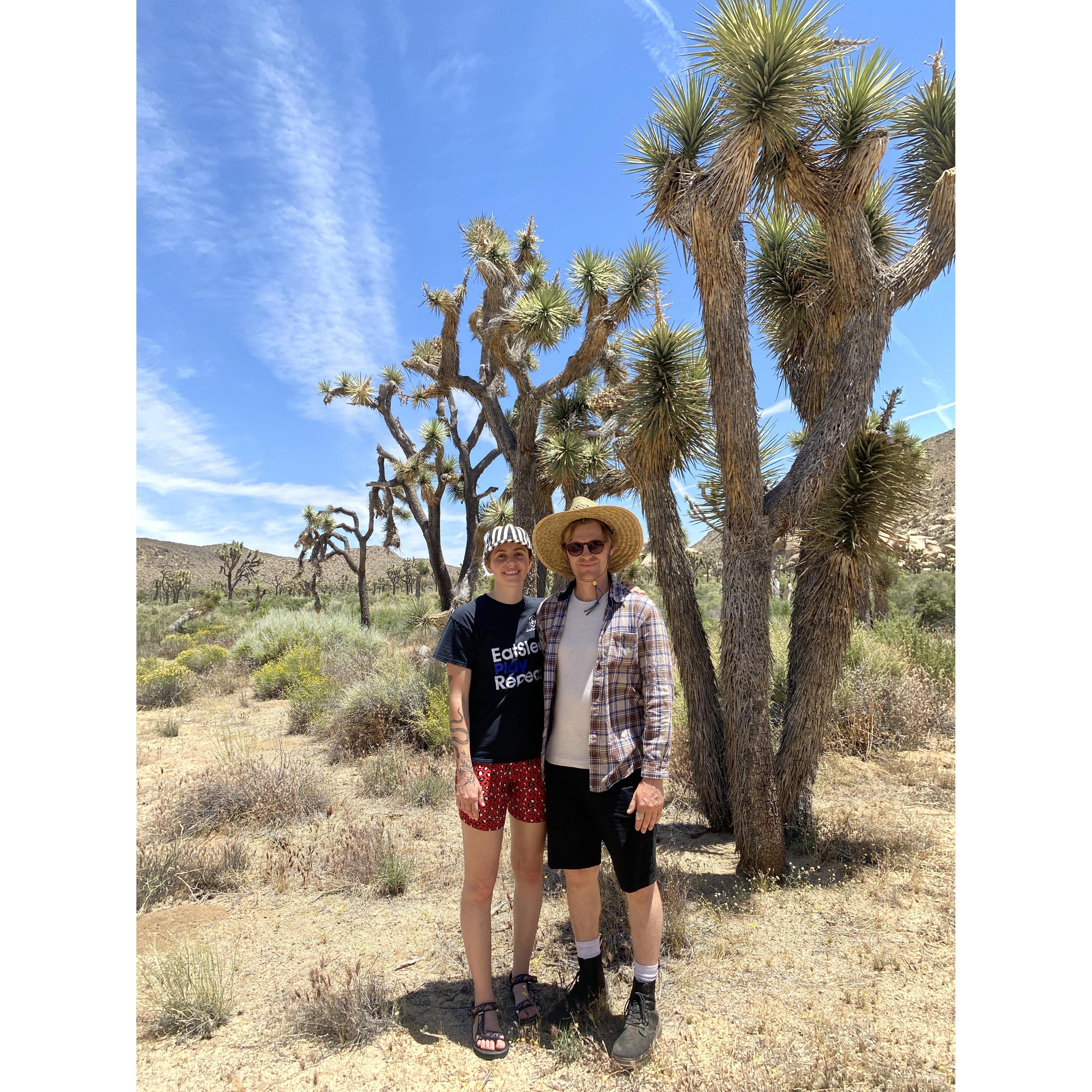 Joshua Tree