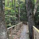 Catamount and Harris Hill Trail Loop