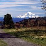 Powell Butte Nature Park