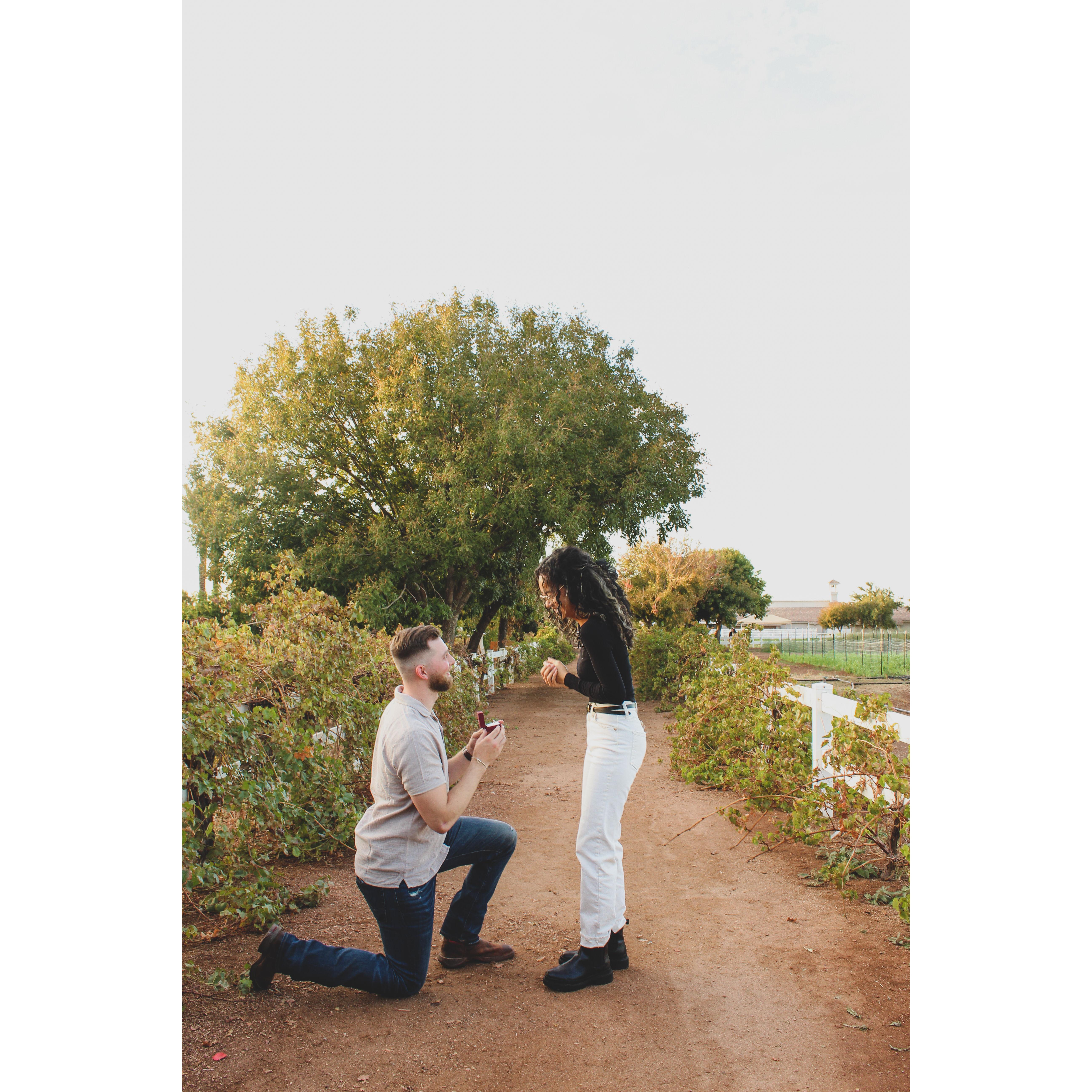 The day Ben and Nicole got engaged! - November 17, 2023