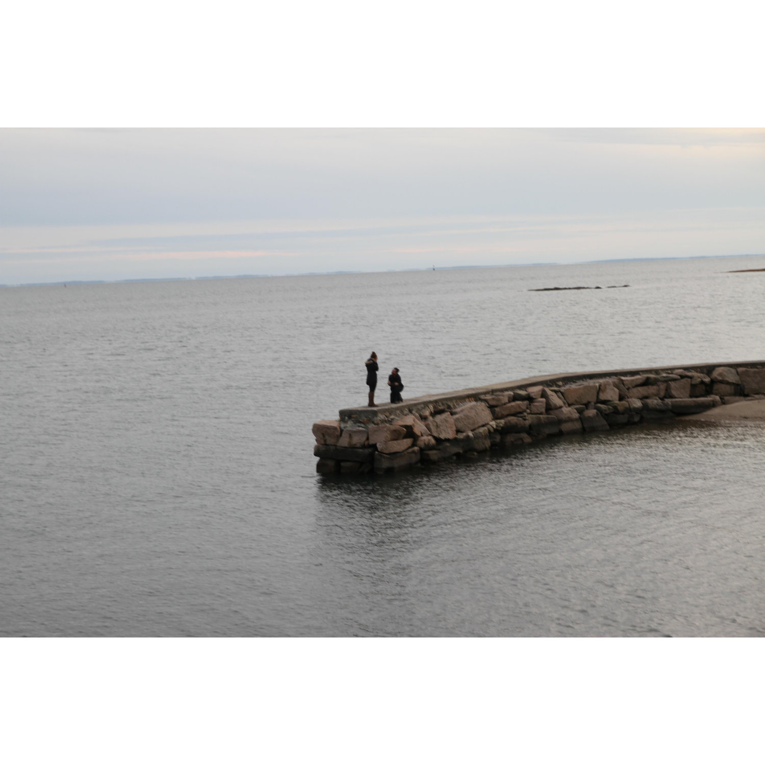 The proposal!