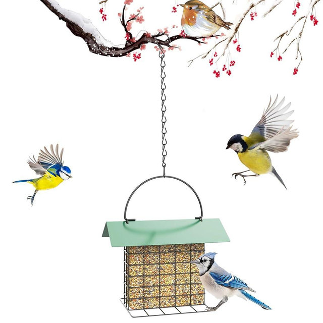 FLINTER Bird Feeder for Outdoors, Suet Feeder Hanging, Attracts Nuthatches, Woodpeckers, Creepers, Suet-Cake Bird Feeder