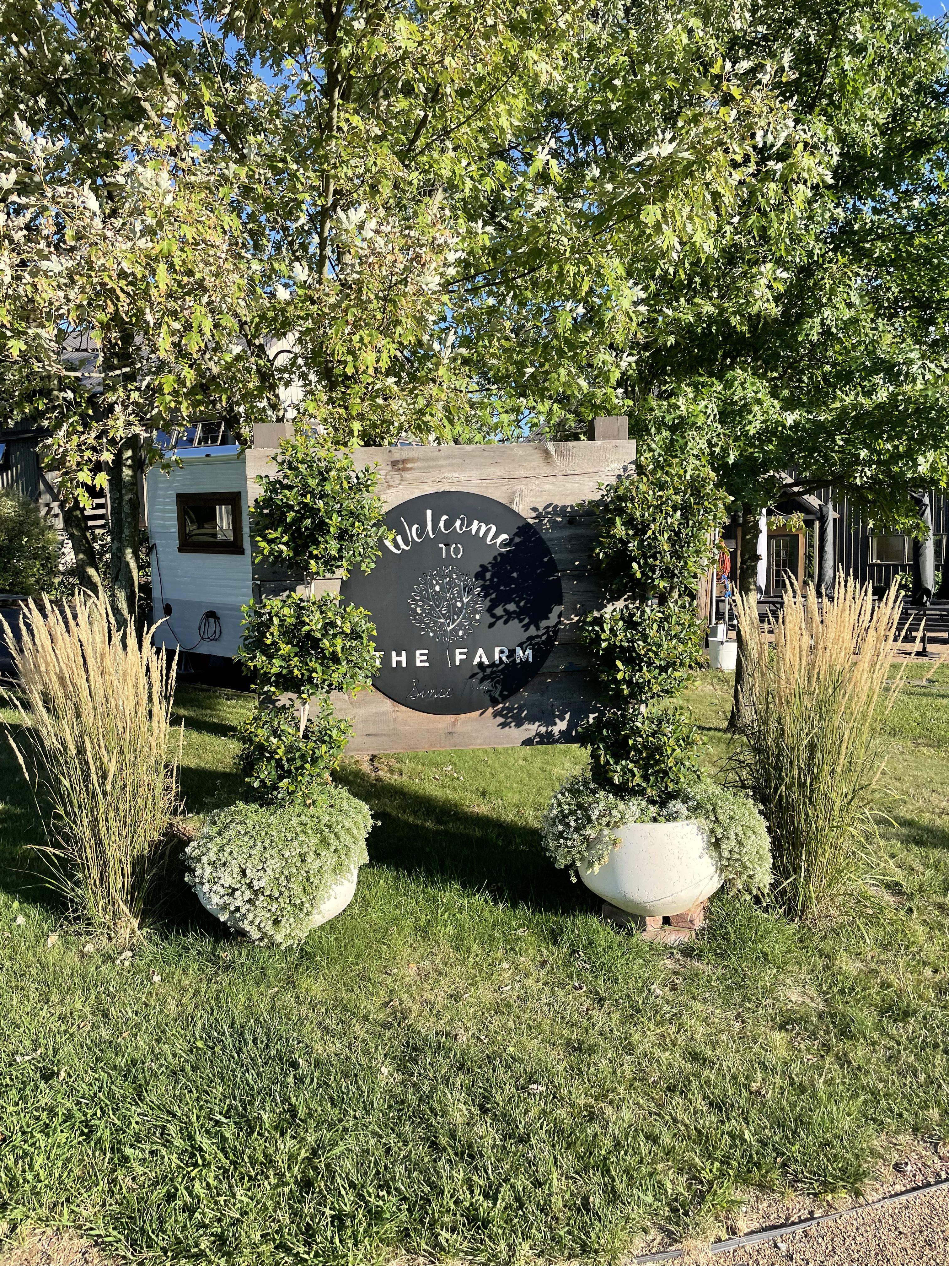 The Wedding Website of Shelby Stachel and Patrick Lynam
