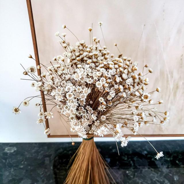 Star Flowers Dried | Dry Natural Star...