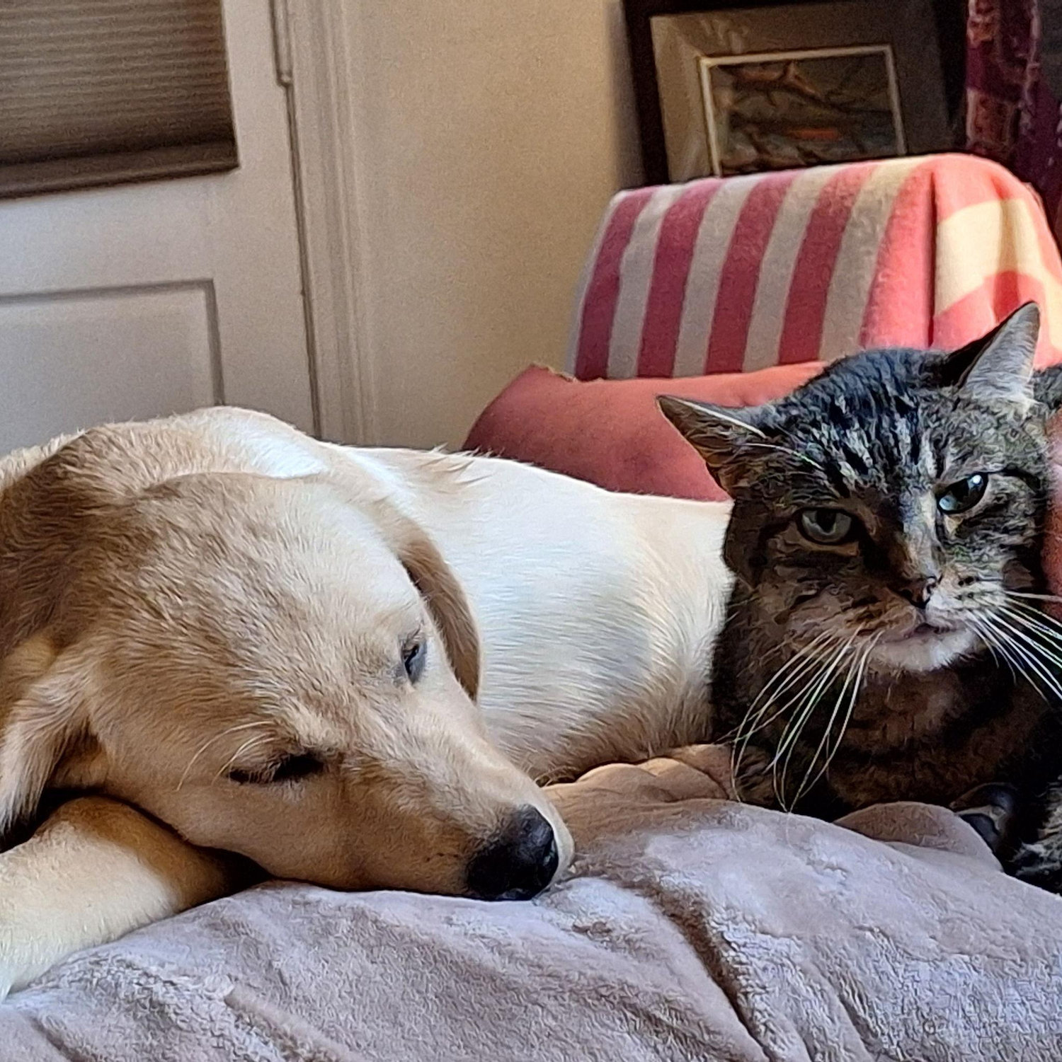 Best friends