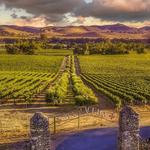 Livermore Valley Wine Trails