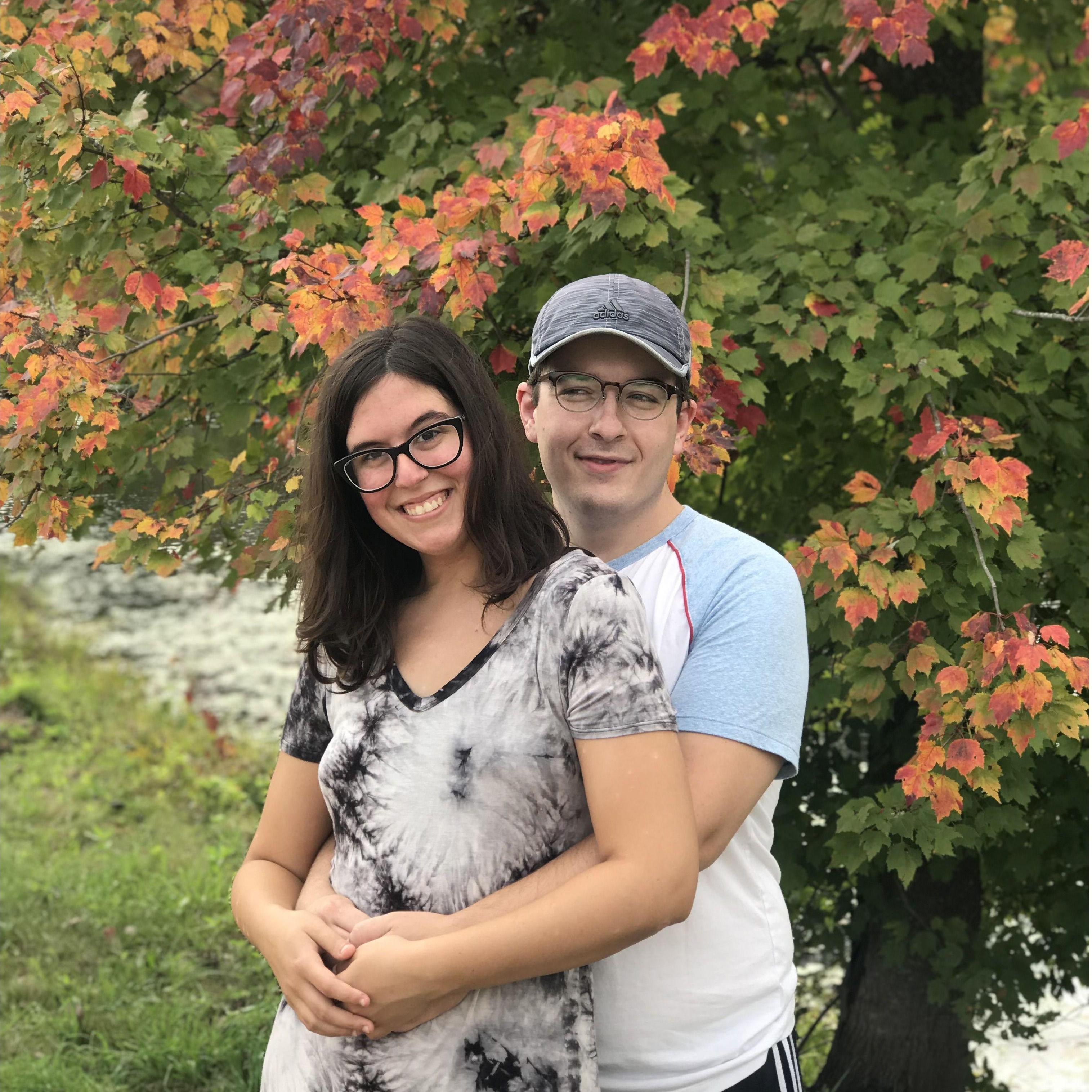 Apple orchard