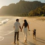 Visit Waimanalo Beach