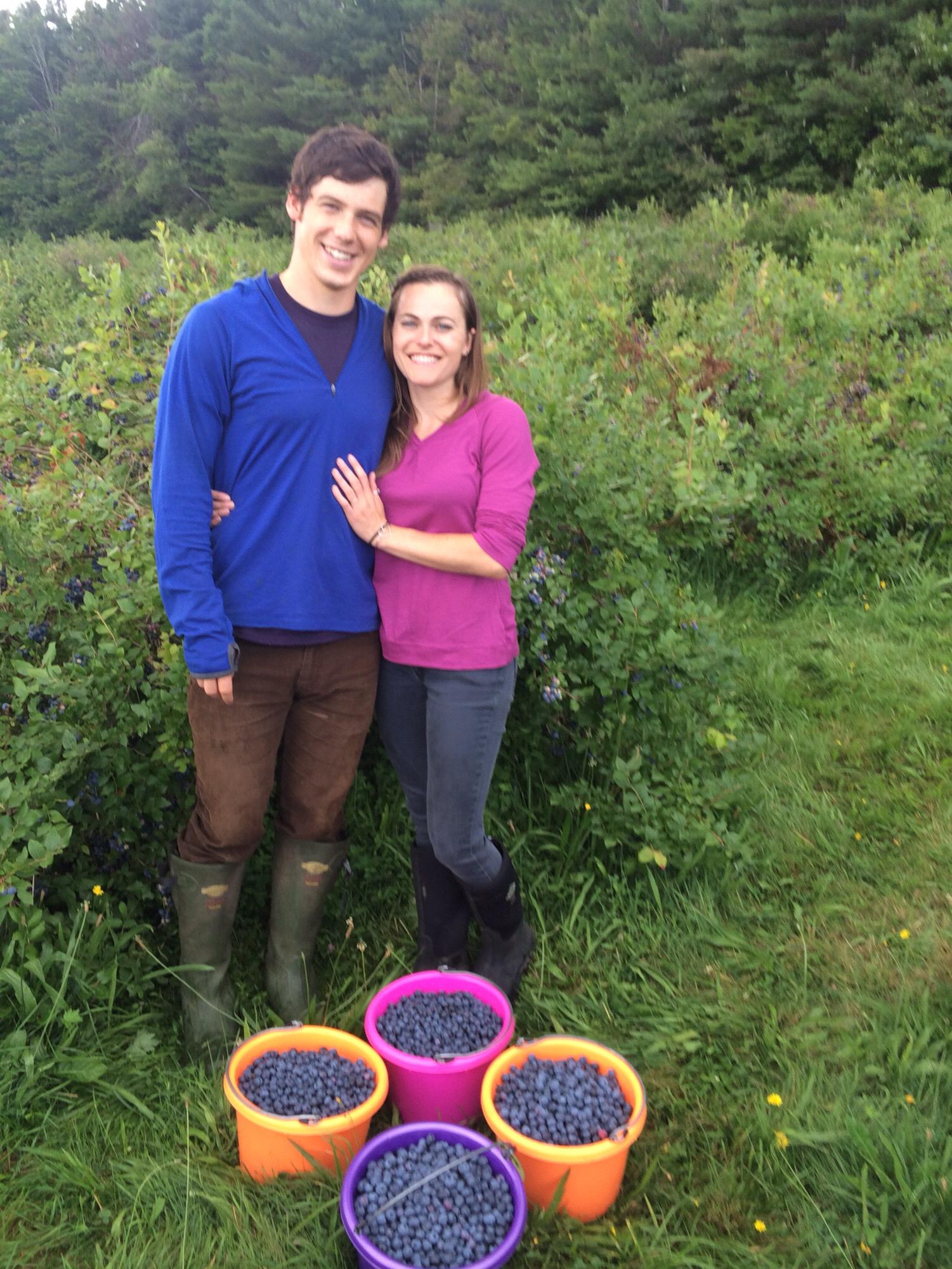 I have never seen so many blueberries! We picked 40 pounds! Summer 2013 just before Ella moved to Vermont!