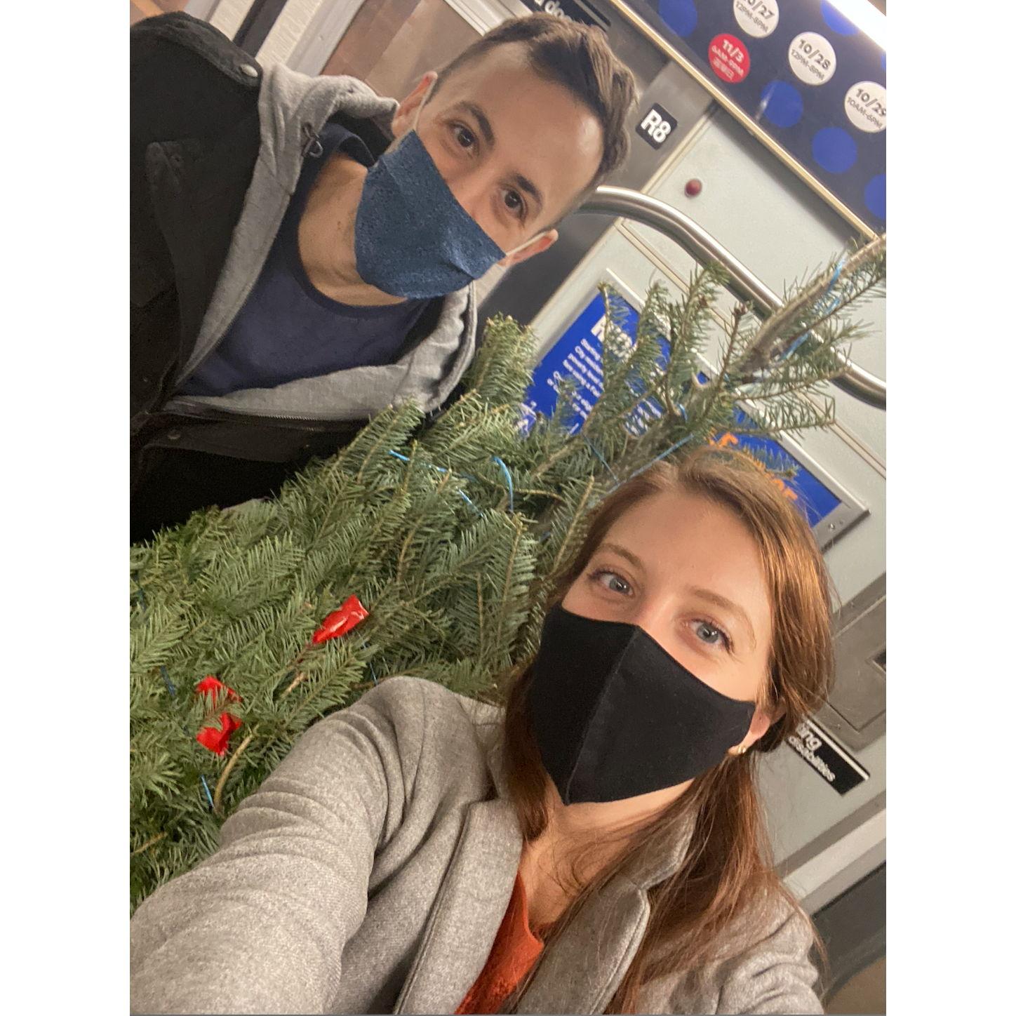 Picked our first Christmas tree! (Dan carried it back on the subway)