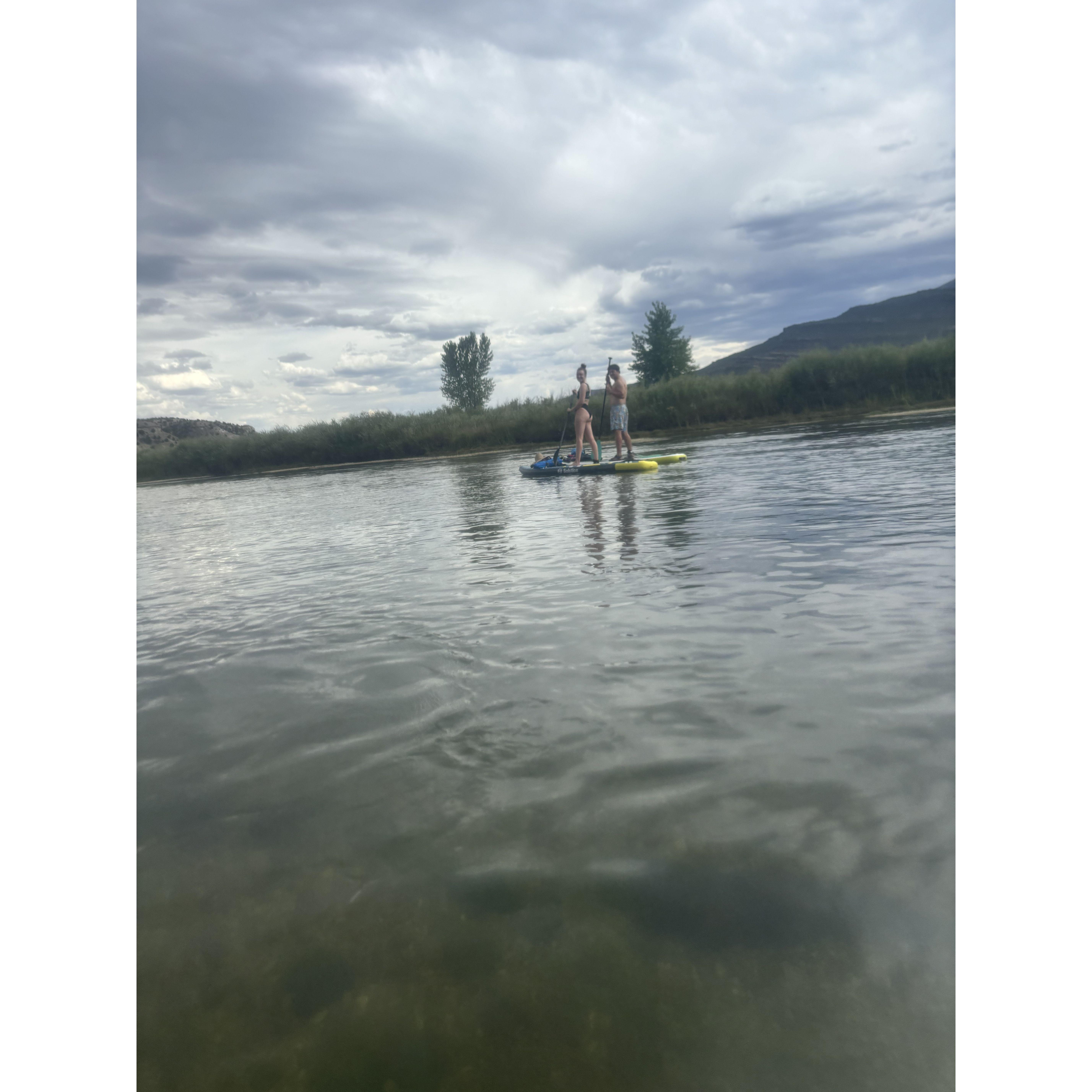 Our paddleboards love each other