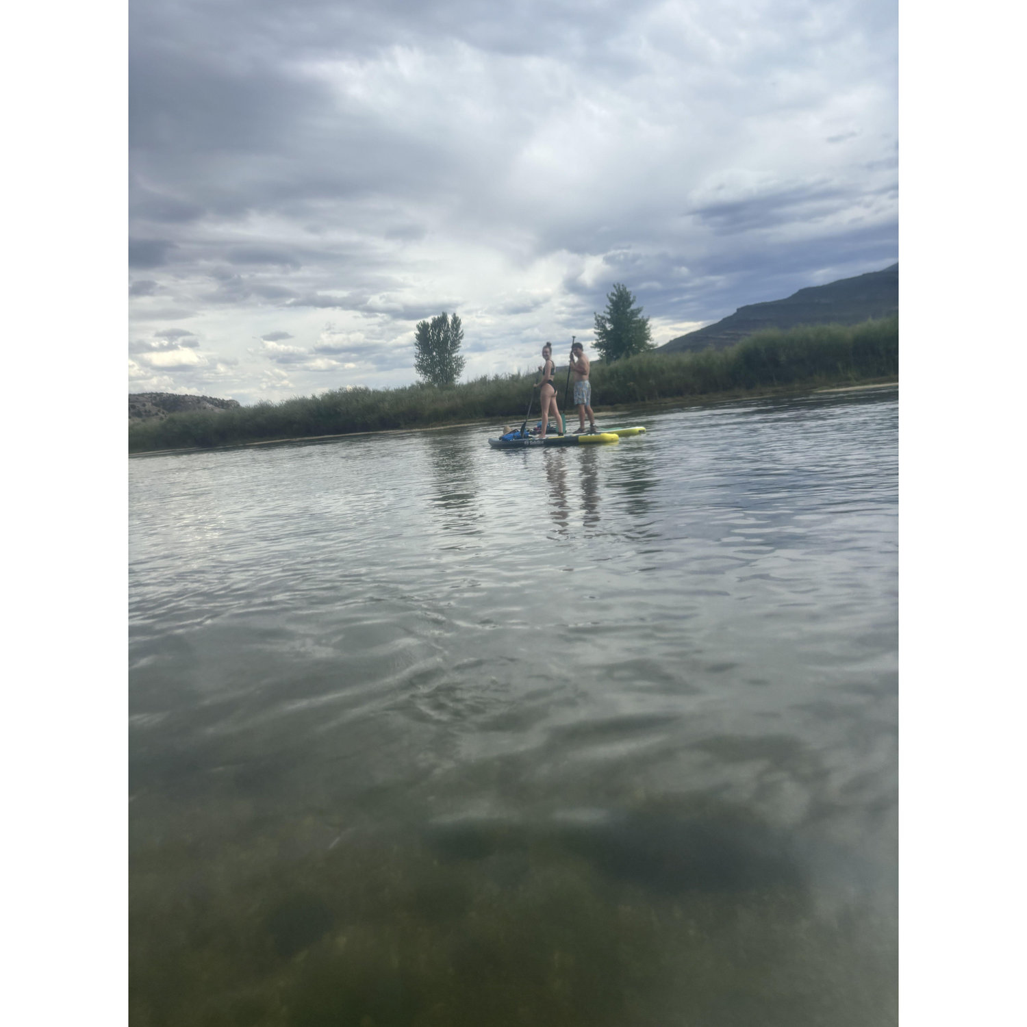Our paddleboards love each other