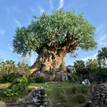 Disney's Animal Kingdom Theme Park