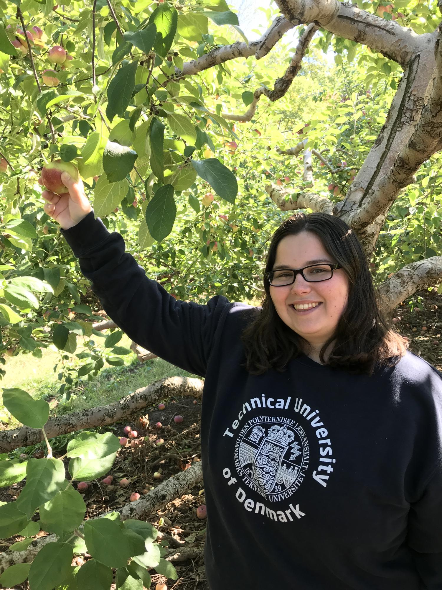Apple Picking at Roger’s Orchards, Southington, Connecticut- 2019