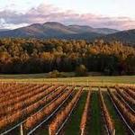 Monticello Wine Trail