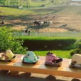 Moomers Homemade Ice Cream