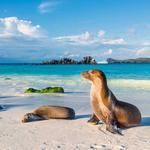 Islas Galápagos