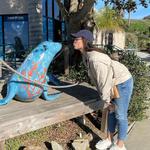 Marine Mammal Care Center