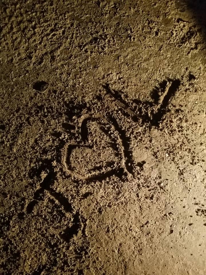 The Wedding Website of Julie A Quinn and Loney Bohannon