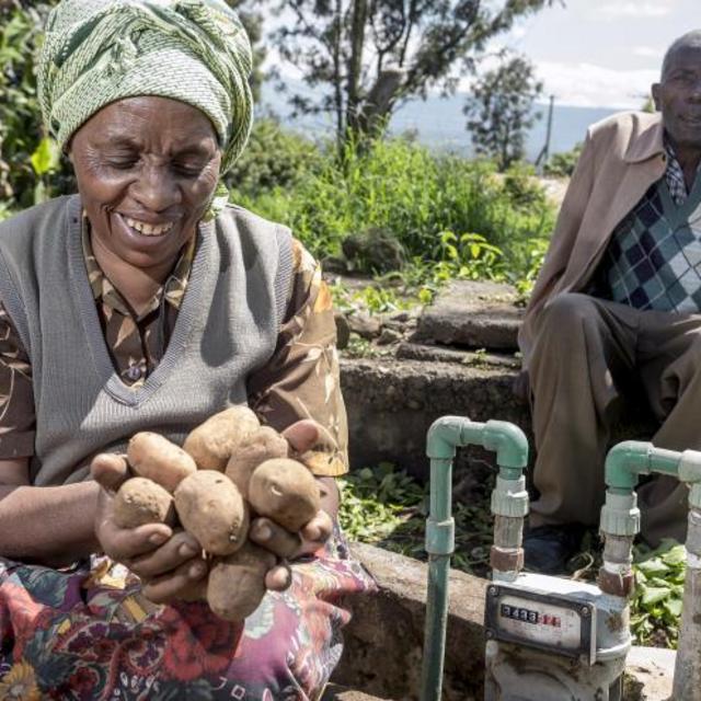 1 MT CO2e Carbon Offset: Kenya Biogas Programme