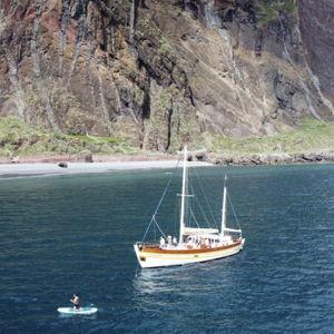 Sunset Dolphin Cruise in Madeira, Portugal