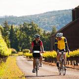 Napa Valley Bike Tours & Rentals