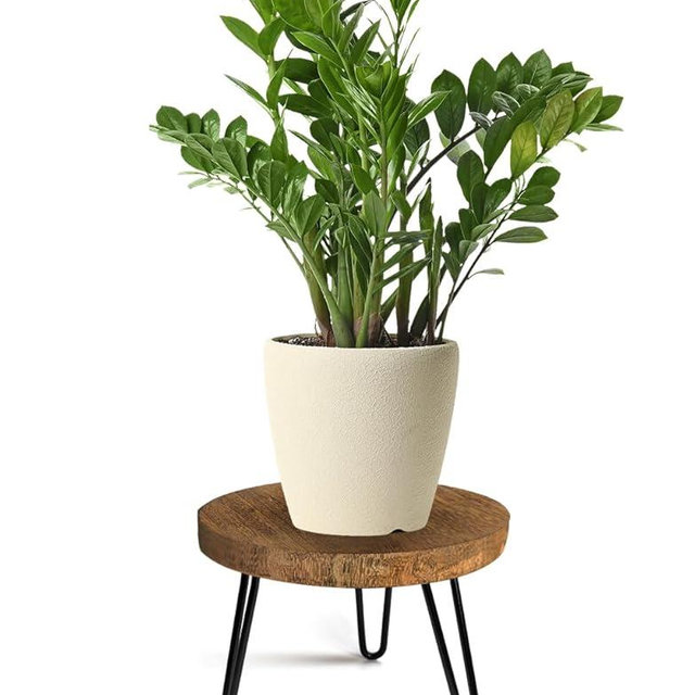 Plant Stand Indoor Outdoor Wood Mid Century Plant Stand for Indoor Plants, Modern Plant Table Round Plant Stool, Boho Rustic Wooden Stool for Plant Pot Hol (L)