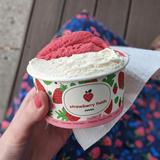 Strawberry Fields Smoothies & Gelato