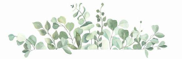 The Wedding Website of Madison Hudson and Paul Amalfitano