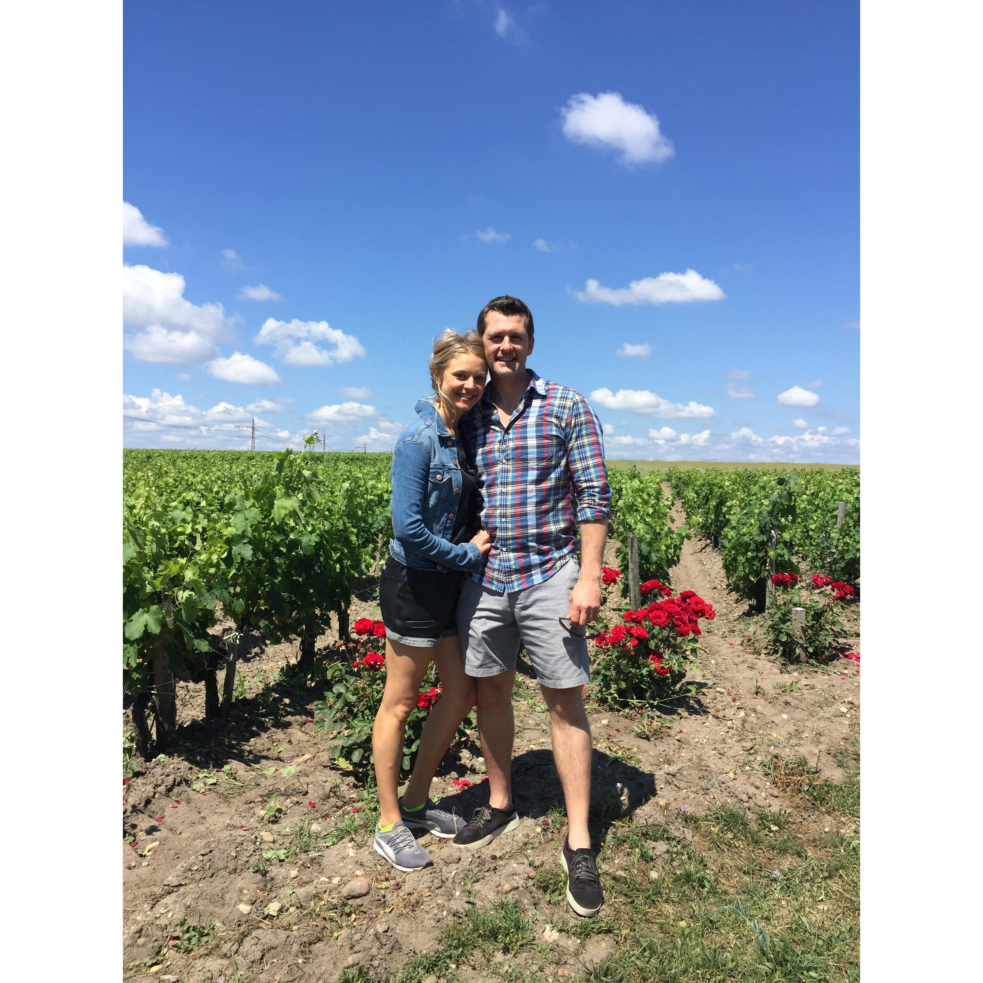 Vineyard in France.