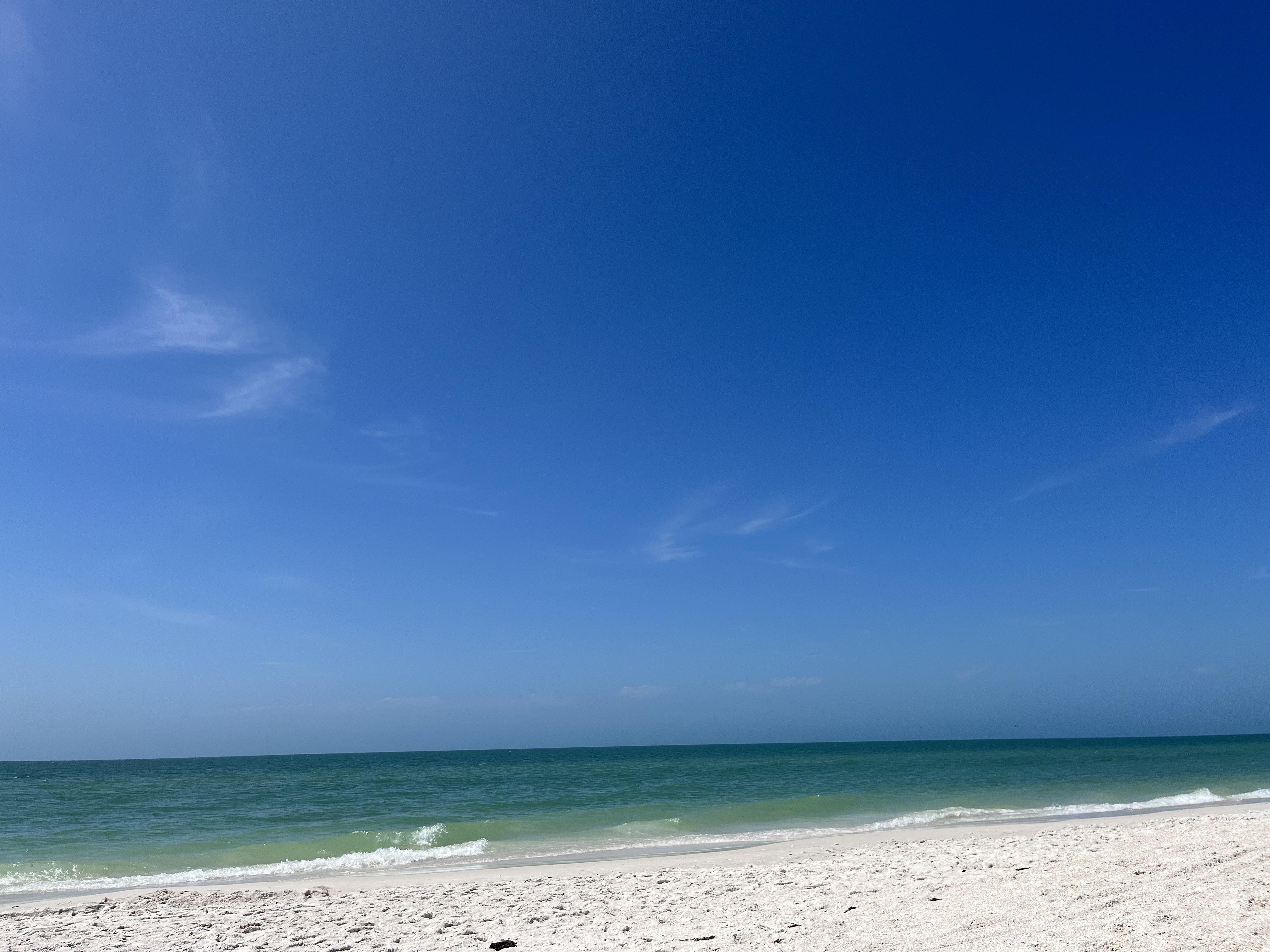 The Wedding Website of Jennifer Nelson and Robert Thrash