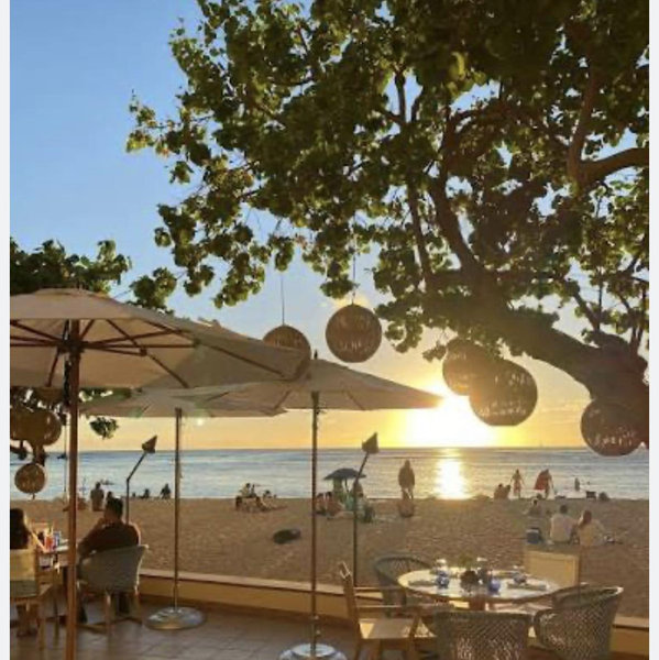 Upscale Beachfront Dinner