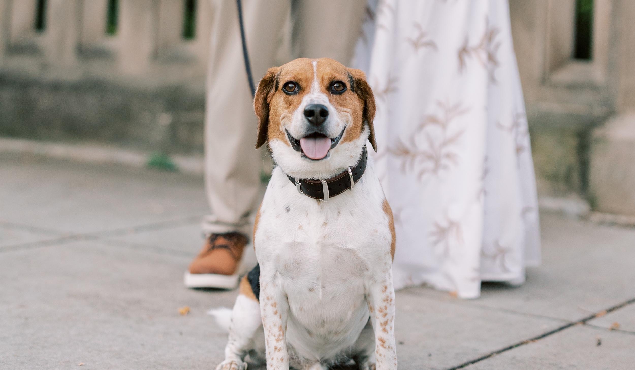 Hero Slideshow Image 5