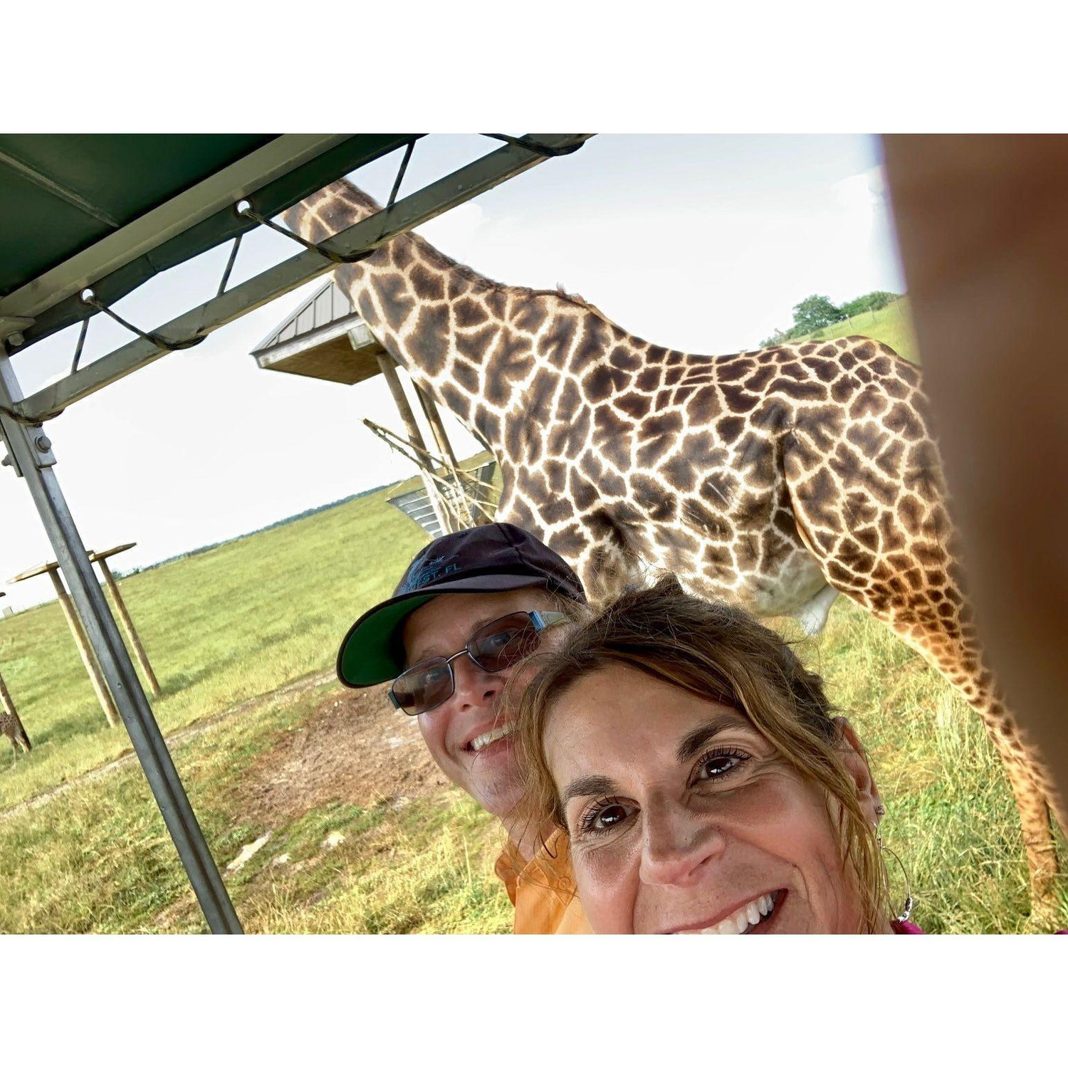 Celebrating nature with a safari in Columbus