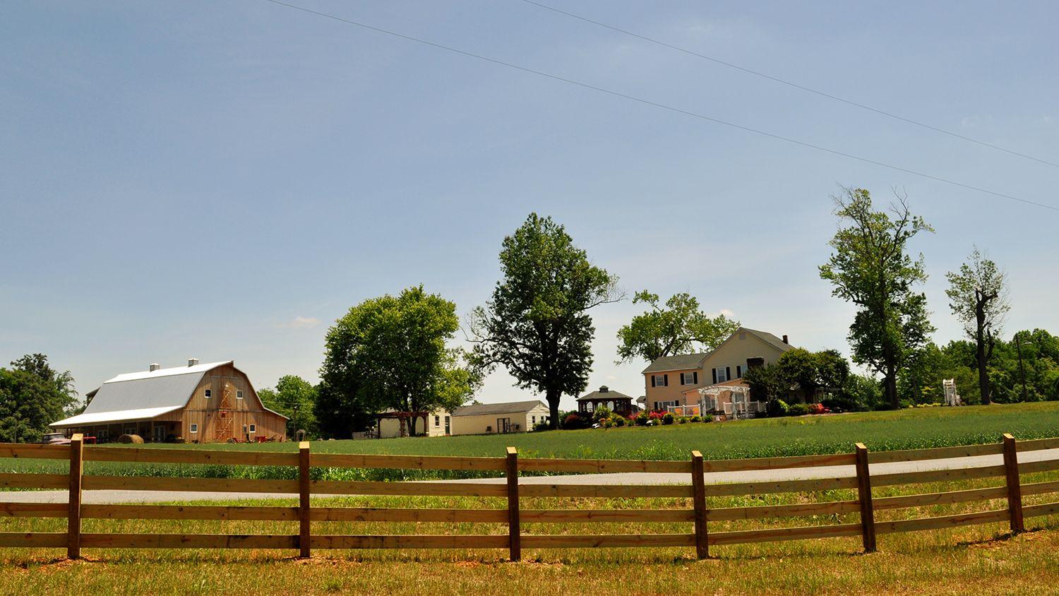 The Wedding Website of Melissa Shigley and Christina Carabillo