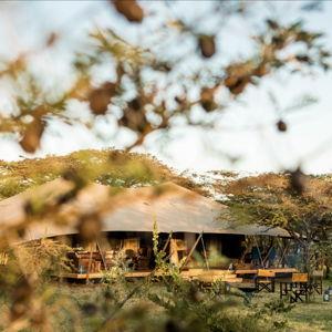 Our honeymoon to Kenya!