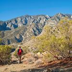 Cactus to Clouds Trail