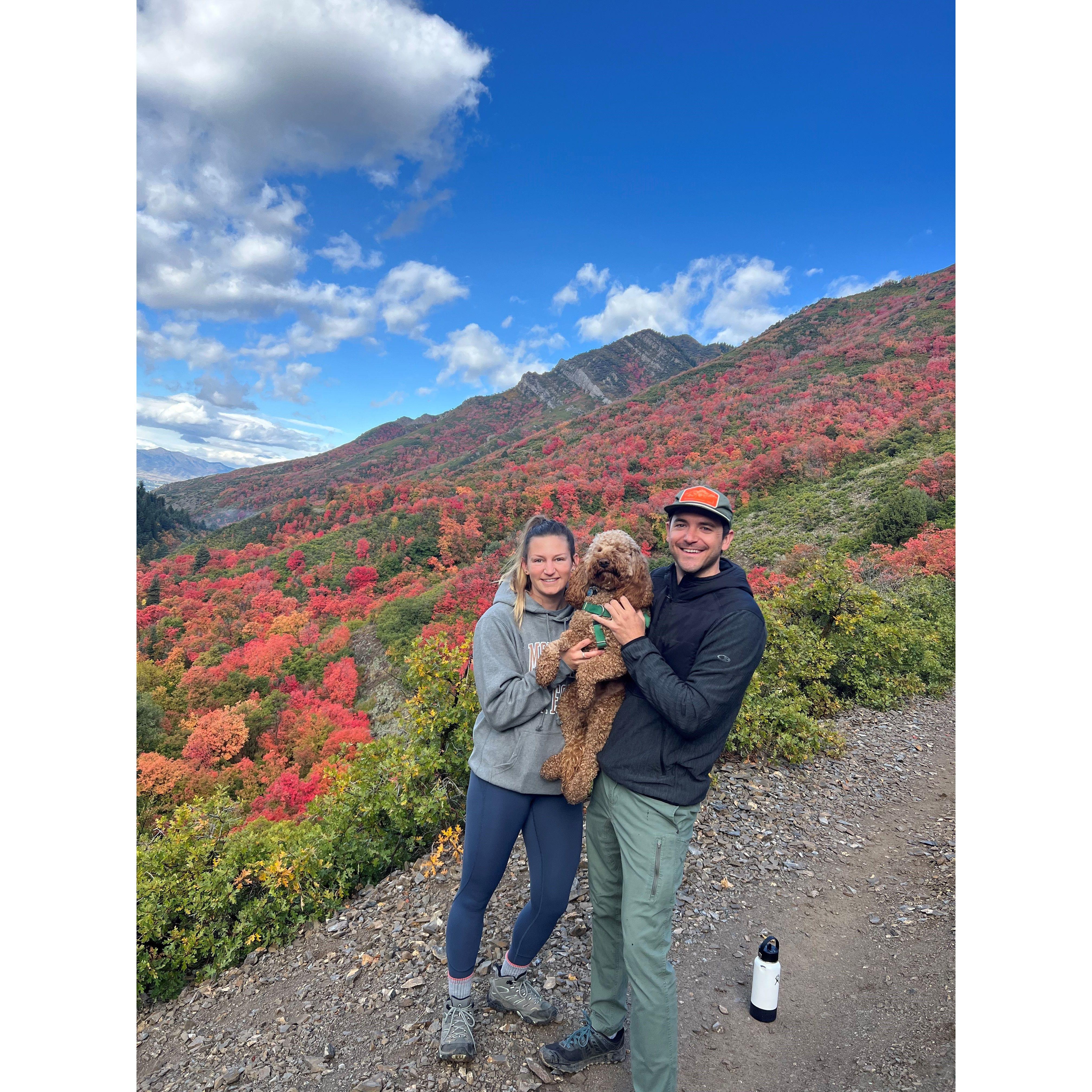 Millcreek Canyon in the fall