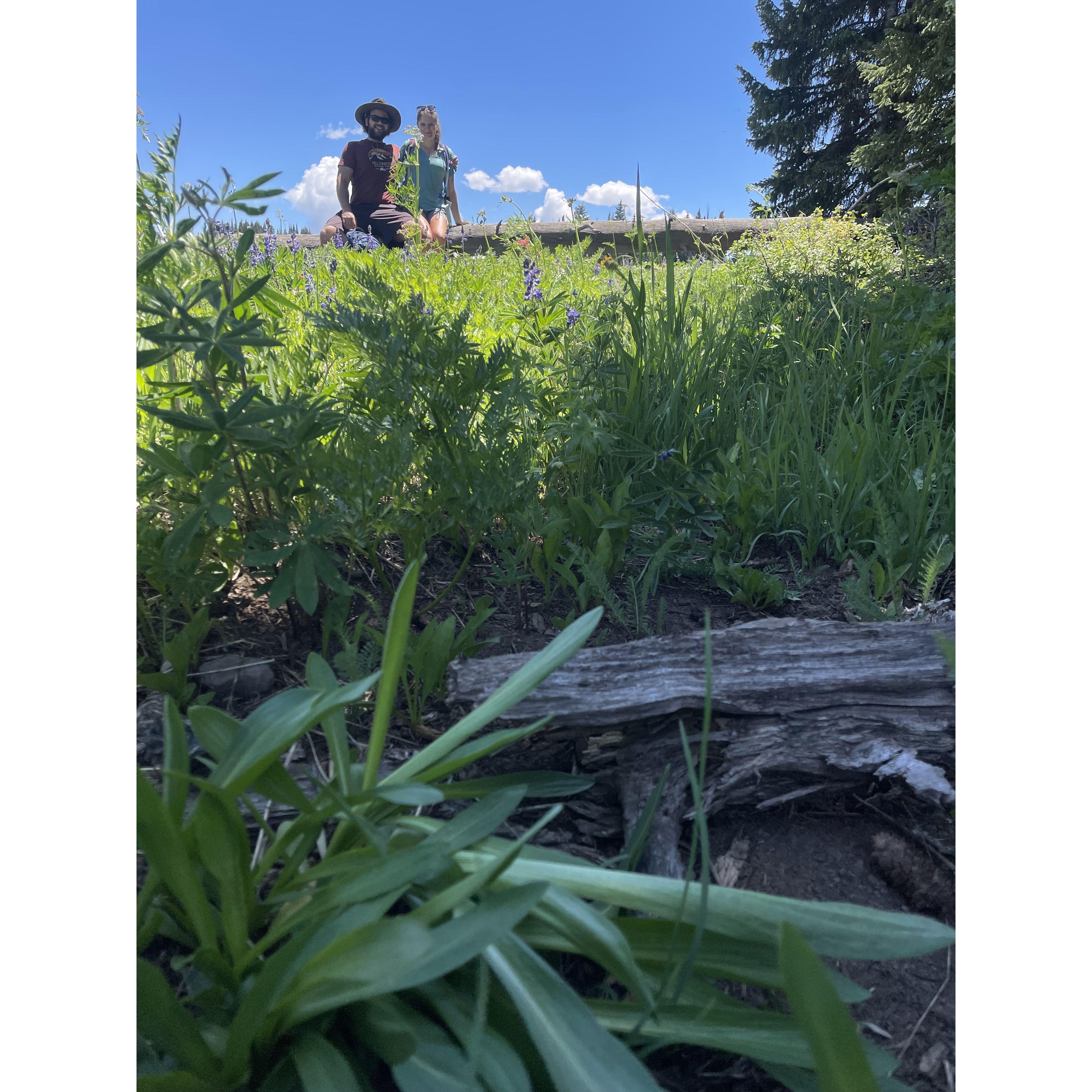 White River National Forest, CO, 2021