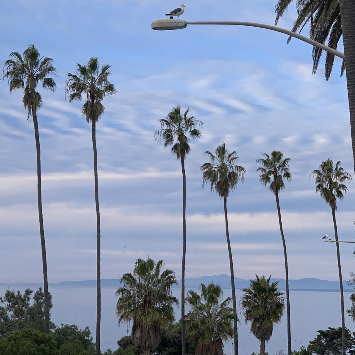 Our Mini Honeymoon Fund