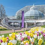 Phipps Conservatory and Botanical Gardens