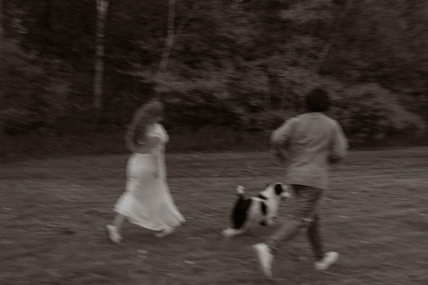 The Wedding Website of Taylor Pritchard and Luke Janse