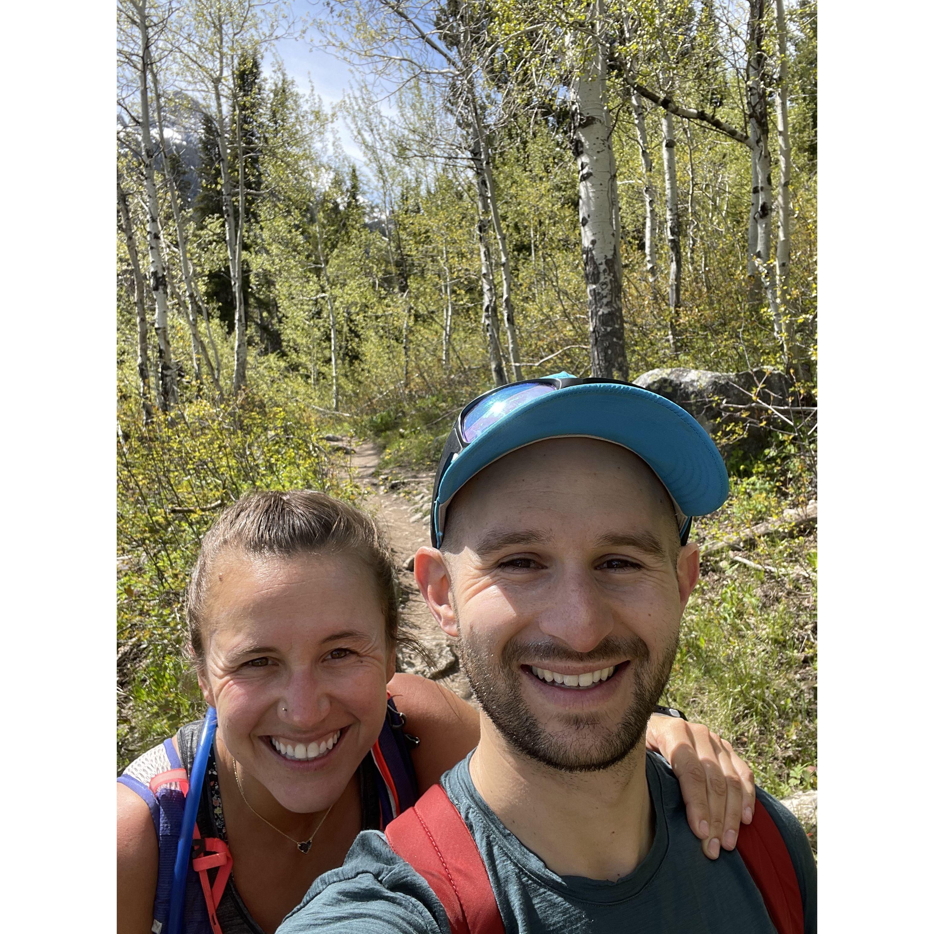 Grand Teton, we saw some black bears!