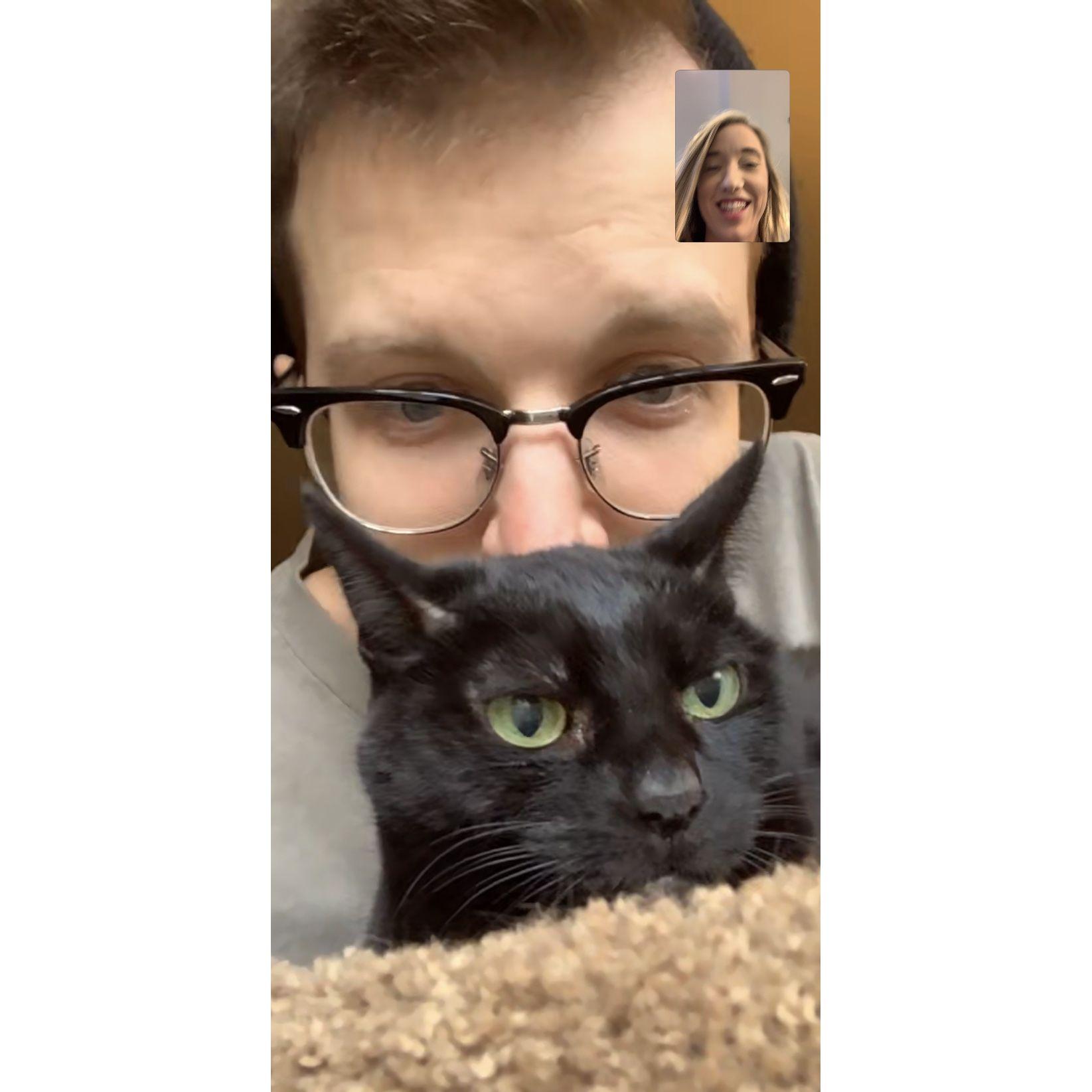 FaceTime Lunch Break with Cat