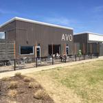 AVO